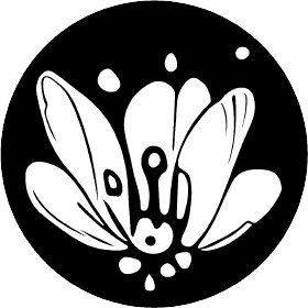 Pollinations.ai Discord Bot
